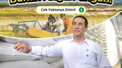 CBP Lampaui 5 Juta Ton, Indonesia Makin Dekat ke Kemandirian Pangan