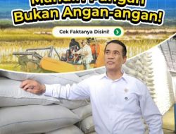 CBP Lampaui 5 Juta Ton, Indonesia Makin Dekat ke Kemandirian Pangan