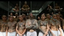 El Salvador Gelar Sidang Raksasa 486 Bos MS-13, Perang Geng Memuncak