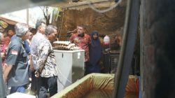 Turun ke Lapangan, Appi Temukan Potensi Besar Urban Farming di Lorong Kota