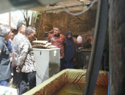 Turun ke Lapangan, Appi Temukan Potensi Besar Urban Farming di Lorong Kota