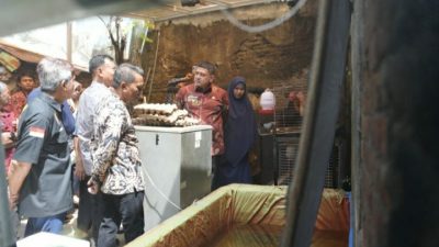 Turun ke Lapangan, Appi Temukan Potensi Besar Urban Farming di Lorong Kota