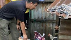 Gerak Cepat Pemkot Makassar, Lansia di Jalan Kesadaran IV Dapat Penanganan