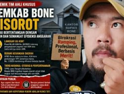 Tim Ahli Khusus Bone Tuai Sorotan, Praktisi Hukum Nilai Berpotensi Langgar UU ASN