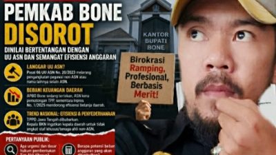 Tim Ahli Khusus Bone Tuai Sorotan, Praktisi Hukum Nilai Berpotensi Langgar UU ASN