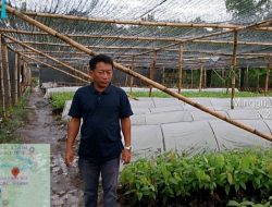 Proyek 1,7 Juta Bibit Kakao Diduga Bermasalah, LKPA Seret Nama Kementan