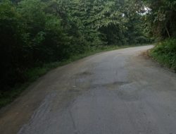 Jalur Provinsi Berau-Kelay di Ambang Bencana, Lubang Menganga dan Ancaman Longsor Jadi Teror Harian