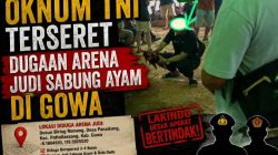 Nama Oknum TNI Disebut dalam Dugaan Arena Judi Sabung Ayam di Gowa, Aparat di Minta Bertindak Transparan