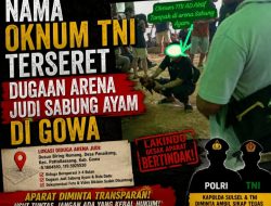 Nama Oknum TNI Disebut dalam Dugaan Arena Judi Sabung Ayam di Gowa, Aparat di Minta Bertindak Transparan