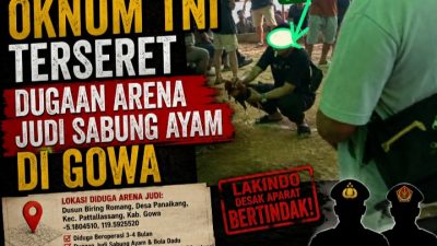 Nama Oknum TNI Disebut dalam Dugaan Arena Judi Sabung Ayam di Gowa, Aparat di Minta Bertindak Transparan