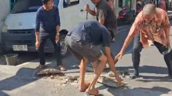 Warga Lorong 55 Naik Pitam, Polisi Tidur Dibongkar Mendadak, Warga: Jangan Tunggu Ada Korban Baru Menyesal!