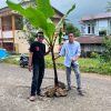 Jalan Rusak Bertahun-tahun, Warga Ereng-Ereng Tanam Pohon Sebagai Protes Kepada Pemkab Bantaeng