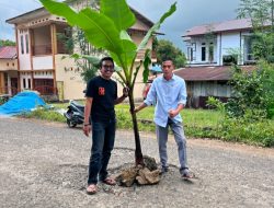 Jalan Rusak Bertahun-tahun, Warga Ereng-Ereng Tanam Pohon Sebagai Protes Kepada Pemkab Bantaeng
