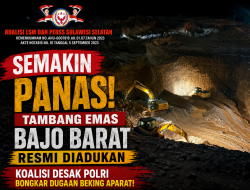 Semakin Panas! Tambang Emas Bajo Barat Resmi Diadukan, Koalisi Desak Polri Bongkar Dugaan Beking Aparat