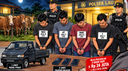Three Cows Disappear at Midnight, Lau Police Uncover Suspected Livestock Theft Ring