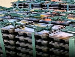 Eman-Eman! MBG Tak Dimakan, Porsi Tetap Mengalir, Potensi Pemborosan Anggaran Menganga