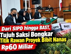 Dari SIPD hingga BAST, Tujuh Saksi Bongkar Titik Rawan Proyek Bibit Nanas Rp60 Miliar
