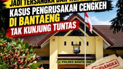 Parah! Hampir 3 Tahun Jadi Tersangka dan Tak di Tahan, Kasus Pengrusakan Cengkeh di Bantaeng Tak Kunjung Tuntas