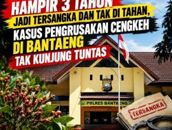 Parah! Hampir 3 Tahun Jadi Tersangka dan Tak di Tahan, Kasus Pengrusakan Cengkeh di Bantaeng Tak Kunjung Tuntas