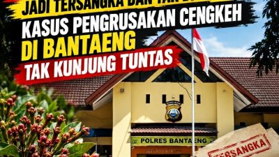 Parah! Hampir 3 Tahun Jadi Tersangka dan Tak di Tahan, Kasus Pengrusakan Cengkeh di Bantaeng Tak Kunjung Tuntas