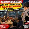 Tak Tersentuh Hukum! Dugaan Judi Sabung Ayam Tiap Malam Beraktifitas di Ponceng, Kapolres bone di Desak  Bertindak