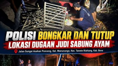 Respons Informasi Masyarakat, Polisi Akhirnya Bongkar dan Tutup Lokasi Dugaan Sabung Ayam di Ponceng,