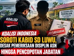 Koalisi Indonesia Soroti Kabid SD Luwu, Desak Pemeriksaan Disiplin ASN hingga Pencopotan Jabatan