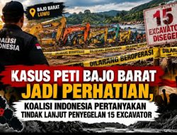 Kasus PETI Bajo Barat Jadi perhatian, Koalisi Indonesia Pertanyakan Tindak Lanjut Penyegelan 15 Excavator